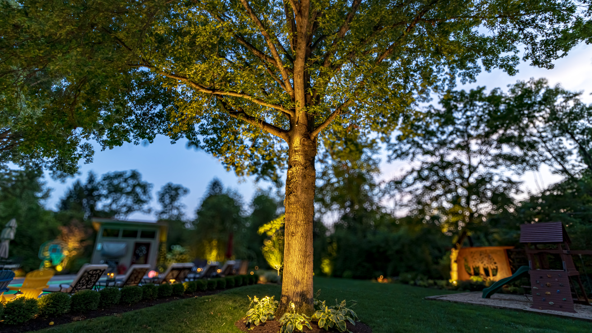 evening